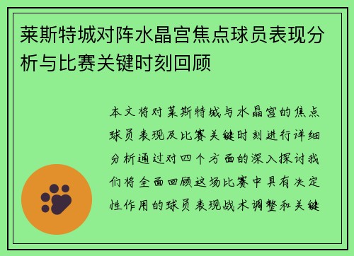 莱斯特城对阵水晶宫焦点球员表现分析与比赛关键时刻回顾 莱斯特城对阵水晶宫焦点球员表现分析与比赛关键时刻回顾