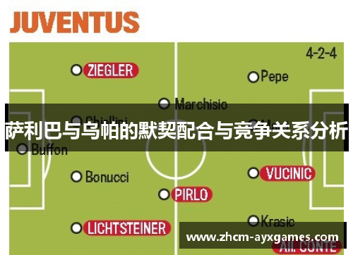 萨利巴与乌帕的默契配合与竞争关系分析 萨利巴与乌帕的默契配合与竞争关系分析