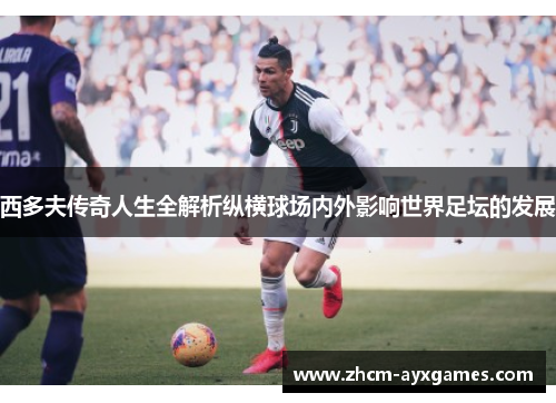 西多夫传奇人生全解析纵横球场内外影响世界足坛的发展 西多夫传奇人生全解析纵横球场内外影响世界足坛的发展