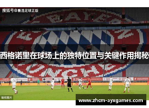 西格诺里在球场上的独特位置与关键作用揭秘 西格诺里在球场上的独特位置与关键作用揭秘